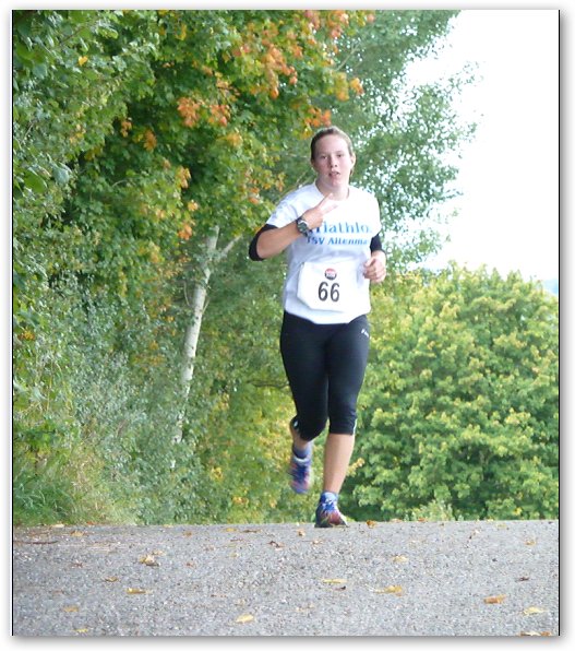 taching2010_2